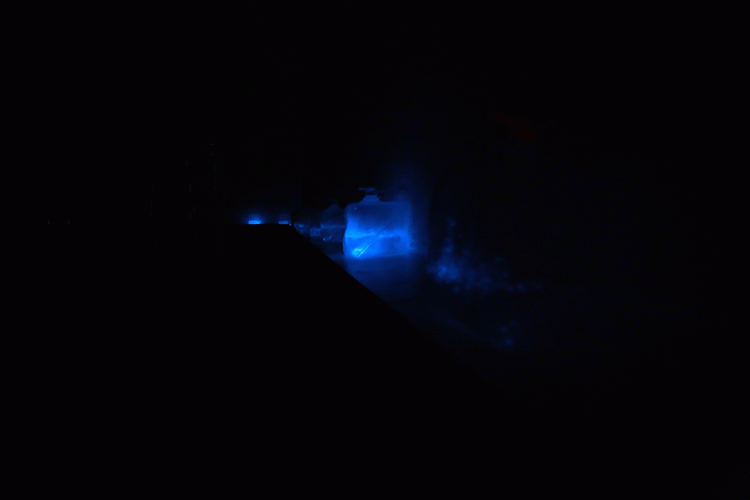 multitudes_4.gif