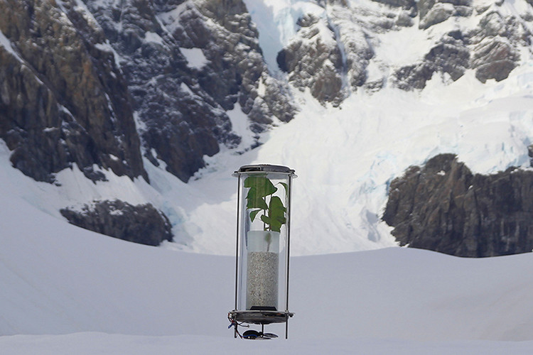 the_antarctic_biennale_8.jpg